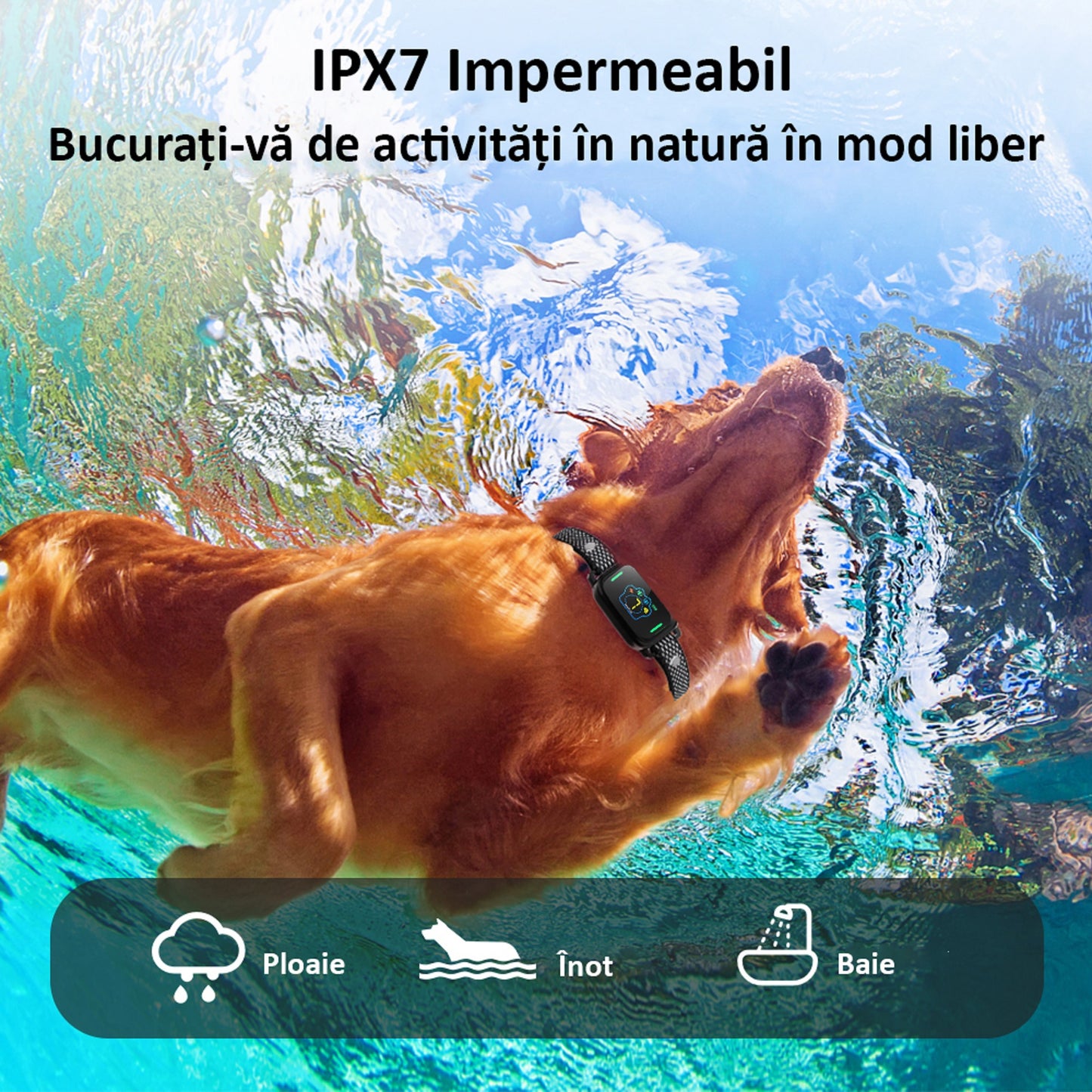 Zgarda Antilatrat Profesionala, Ajustabila, Electrica, Display, 5 Moduri de Lucru, 7 Nivele, Waterproof, Negru